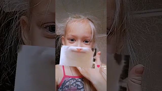 Кто я из животных смотреть онлайн