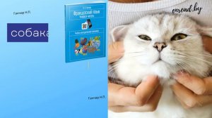 Французский язык. 5 класс. Название животных на французском языке: самец, самка, детёныш