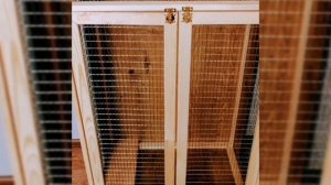 Клетка для шиншиллы своими руками недорого. Короткая версия.