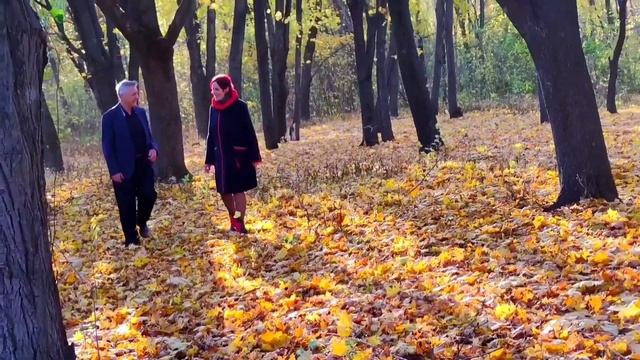 Ах, жёлтый лес, жёлтый лес... Вот вам и кусочек счастья... Харьков Октябрь 2021 смотреть онлайн