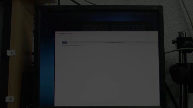 Установка Kali linux используя весь HDD смотреть онлайн
