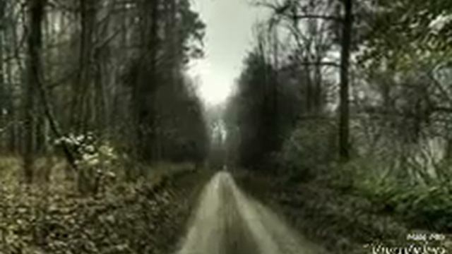 С. Есенин - Листья падают (читает Виктория Филина) смотреть онлайн