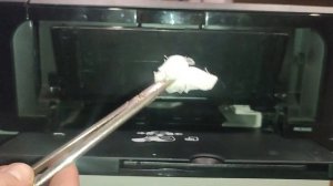 Принтер не захватывает бумагу застряет бумага не печатает