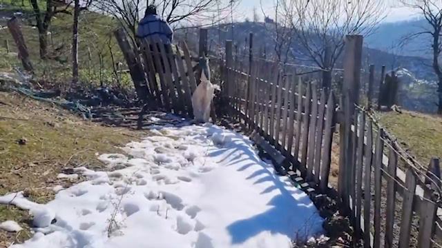 Йогуртовый суп по-азербайджански Азербайджанская Кухня Деревенская Кухня Рецепты смотреть онлайн