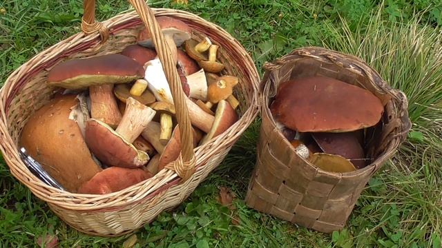 Ладва жаркое лето ч 8 смотреть онлайн