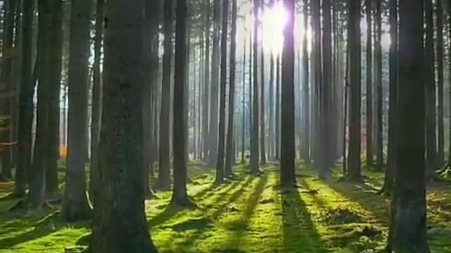 Дуа от Порчи и Сглаза. смотреть онлайн