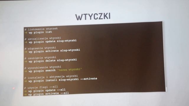 WP-CLI - WordPress WordUp Poznań #13 смотреть онлайн