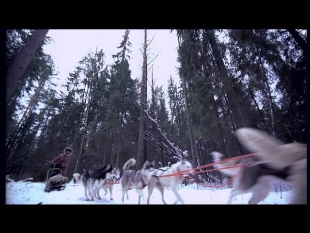 Adrenalin Alaska смотреть онлайн