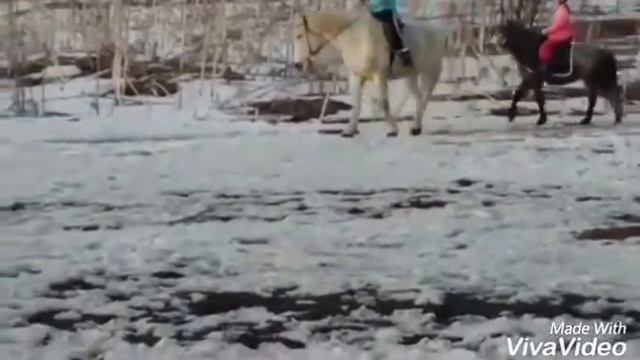 Моя тренировка в конном клубе. смотреть онлайн
