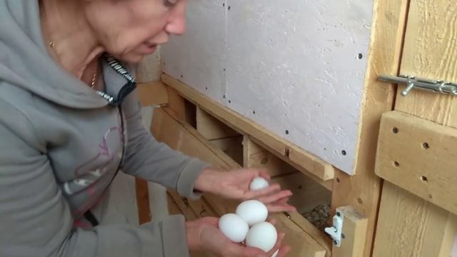 Выгодно держать куриц в станице. /Купить дом на Юге и найти друзей смотреть онлайн