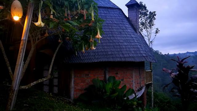 Psychedelic Angel Trumpet Tree Sound Of Bali Night In the Mountains смотреть онлайн
