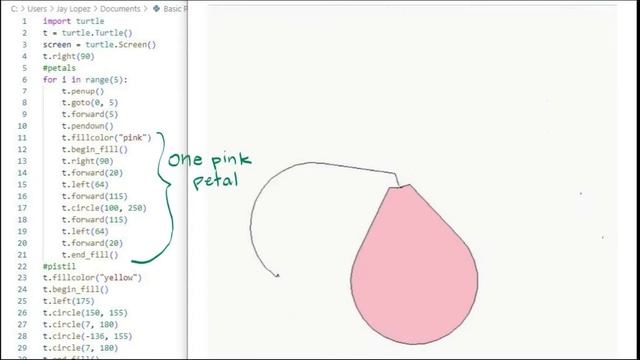 Basic Python Turtle Code: Hibiscus смотреть онлайн