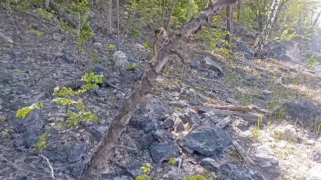 15.05.2024 САМАРА прогулка по Сокскому карьеру. смотреть онлайн