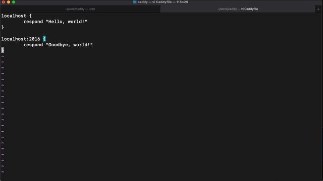 Using Caddyfile with Caddy Server смотреть онлайн