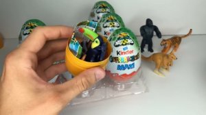 NEW 2022 Kinder Maxi Natoons 2022 NEU Kinder Surprise Maxi Natoons 2022 Киндер Сюрприз Макси Натунс