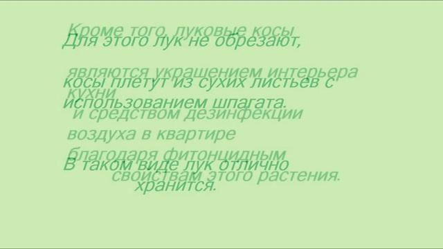 КАК ХРАНИТЬ ЛУК ДО ВЕСНЫ В ДОМАШНИХ УСЛОВИЯХ ПОЛЕЗНЫЕ СОВЕТЫ смотреть онлайн