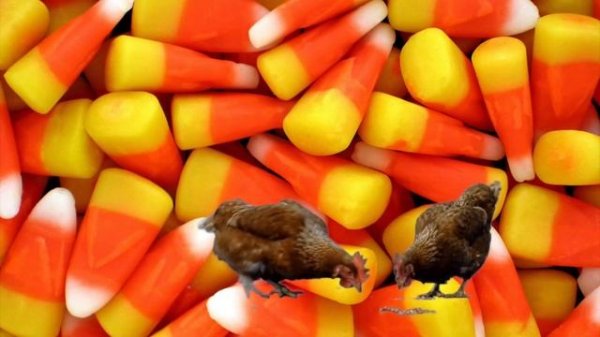 Fun Halloween facts for kids!