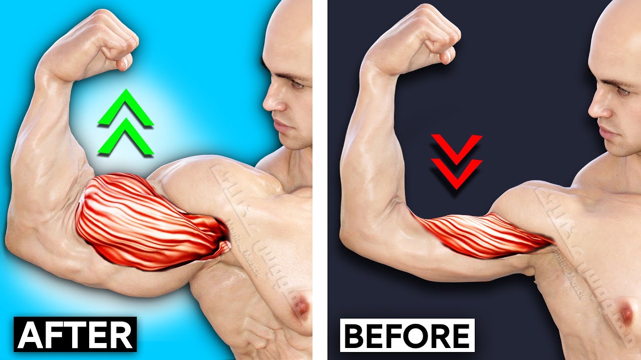 6 ЛУЧШИХ УПРАЖНЕНИЙ НА БИЦЕПСЫ ? WORKOUT ? смотреть онлайн