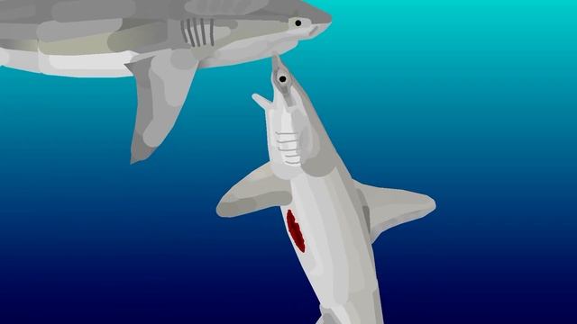 Battle: Bull shark vs hammerhead (Stick nodes pro￼ смотреть онлайн