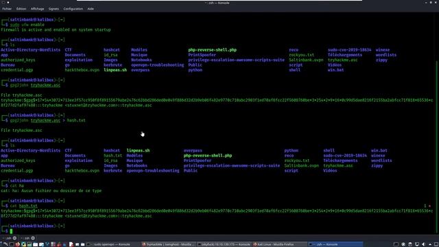 SALTINBANK - CTF TOMGHOST: Capture du drapeau TOMCAT par un autodidacte sans diplôme SDF dans la vi смотреть онлайн