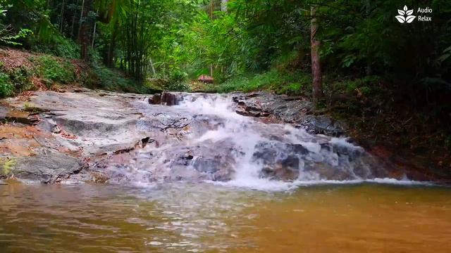 Calming Tropical Rainforest Waterfall Sounds [4k] [10 hours]. Nature White Noise for Sleeping смотреть онлайн