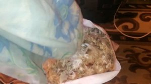 замена наперника у подушки.