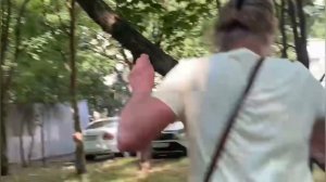 Бенгальский кот Бакс на дереве
