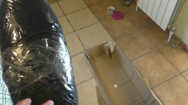 Саженцы через интернет. Что пришло? смотреть онлайн