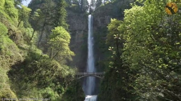 Best Beautiful Romantic Saxophone Melodies In The World - Greatest Hits Love Songs Ever -Relax Musi