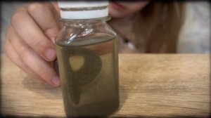 опыт для детей «Магнитная буря"