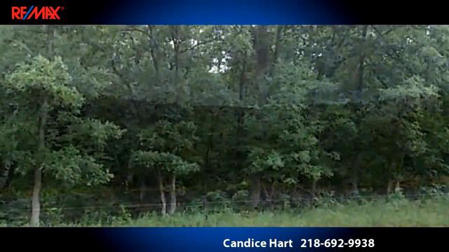 Homes for sale - xxx County Road 11, Breezy Point, MN 56472 смотреть онлайн