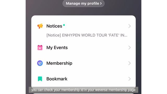 Global Interpark Ticketing Guide (2023 Version) + buying VIP tickets through Weverse Fanclub Raffle смотреть онлайн