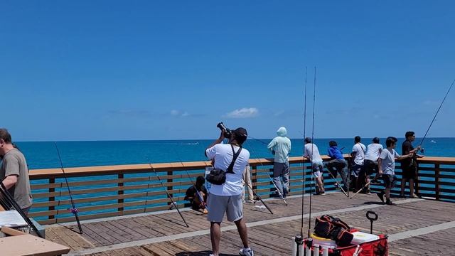 Nikon CoolPix P950 | Know Your Tool | Pt 6