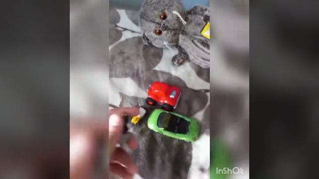Что нужно Басику в первые дни его жизни? смотреть онлайн