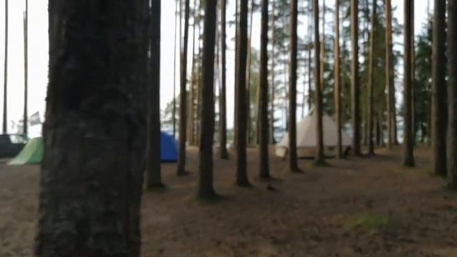 Селигер, озеро Волго, кемпинг август 2021, Серфстанция 