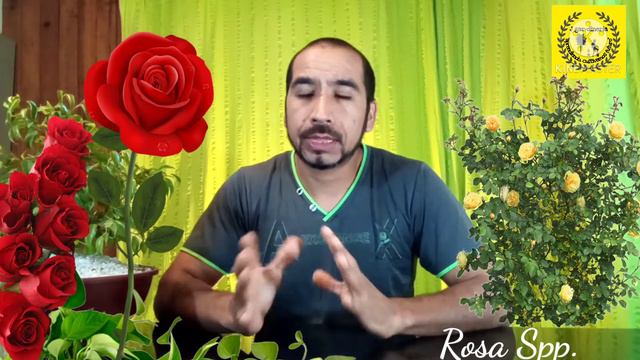 Árboles Y Arbustos Aromáticos |  Especial Día De La Madre