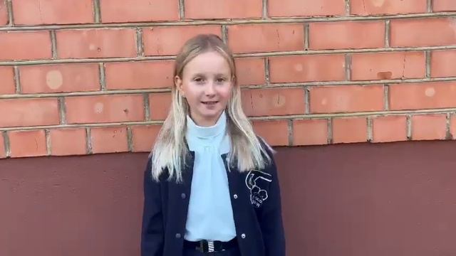 Видео визитка . Ермилина Василиса, 9 лет, рост 140, размер одежды 140, размер обуви 33. смотреть онлайн