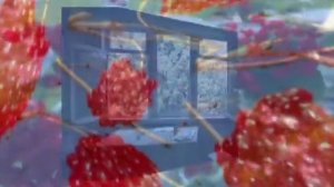 БЕЛЫЙ ДЕНЬ ГАЛИНА