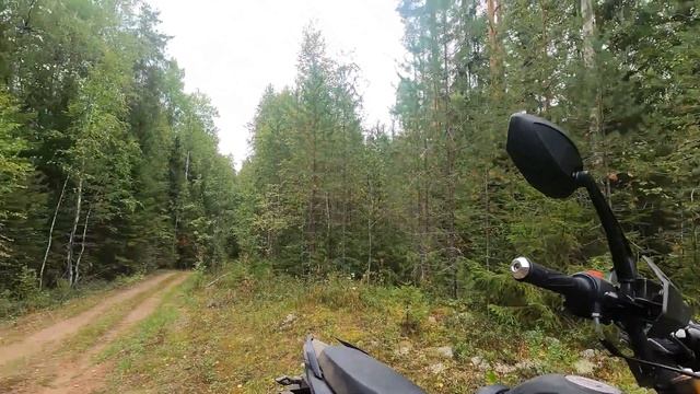 В ЛЕС НА МОТОЦИКЛЕ ZID 250