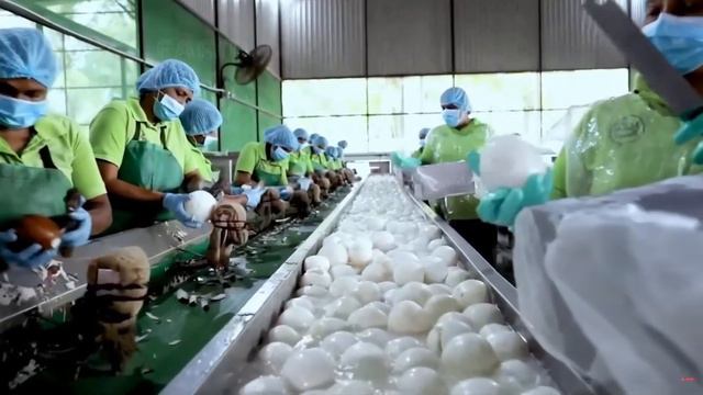 Производство миллионов продуктов из кокосовых орехов / Noal Farm / Озвучка / Deron смотреть онлайн