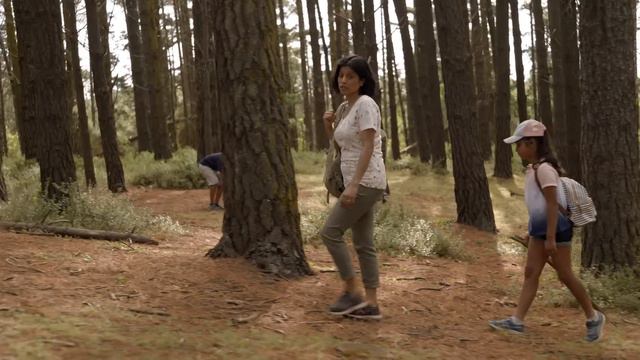 Traveller 30 sec - How well do you know fire? смотреть онлайн