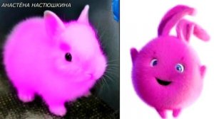 SUNNY BUNNIES IN REAL LIFE / Солнечные  зайчики в реале