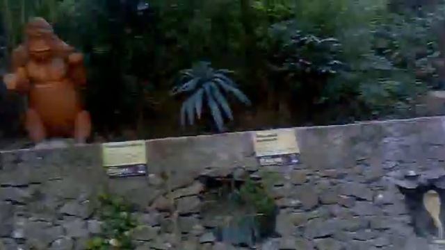 Зоопарк в Ялте смотреть онлайн