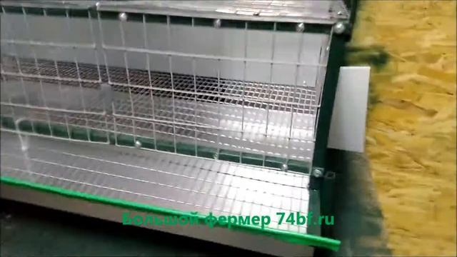 Купить недорого клетки для перепелов металлические в интернет магазине - Большой фермер смотреть онлайн