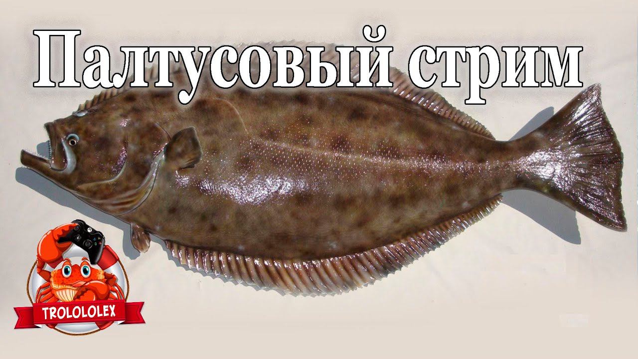 Русская рыбалка 4. Палтусятиновый стримчЕг смотреть онлайн