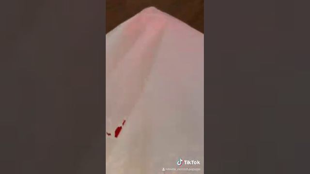 Ожереловый попугай Ричи смотреть онлайн