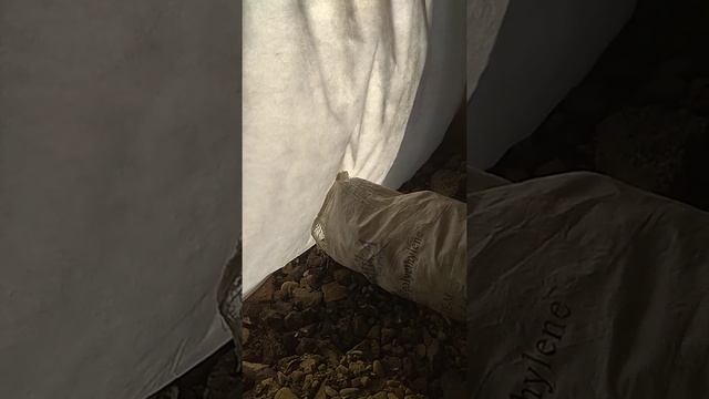 Как сделать погреб на балконе или на лоджии. Часть 6 смотреть онлайн