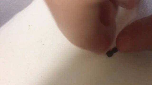 Лепим снеговика смотреть онлайн