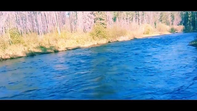 Рыбалка это моя стихия. смотреть онлайн