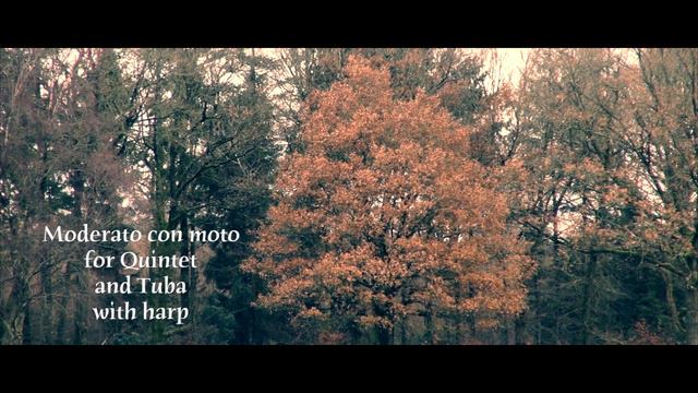 "Moderato con moto" - for Quintet, tuba and harp. смотреть онлайн